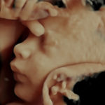27 week