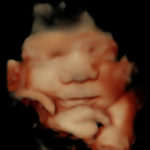 35w 5d_4
